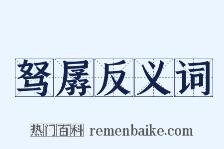 驽孱反义词是什么意思的图片